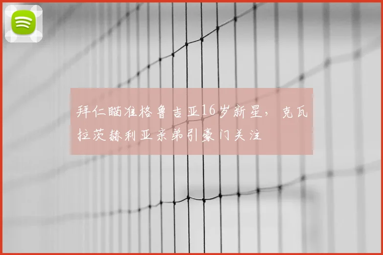 拜仁瞄准格鲁吉亚16岁新星，克瓦拉茨赫利亚亲弟引豪门关注