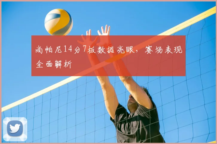 尚帕尼14分7板数据亮眼，赛场表现全面解析